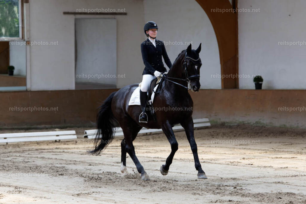 JHE31938 | JoYa Fotografie - Realisiert mit Pictrs.com