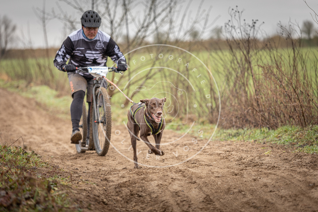 DV3A9276 | Hundefotografie, Tierfotograf, Pfotenfotografie, Fotoshooting Hund, Hunde Portrait, Hundesport, Hundeportraits, Heideshooting, Hunde, Sportfotograf, Hundefotograf, Turnierhundsport, THS,  - Realisiert mit Pictrs.com