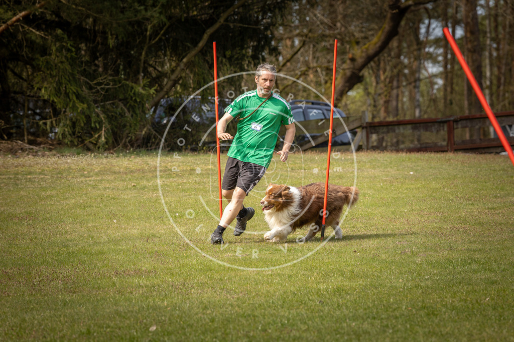 Pfotenfotografie_DV3A7698 | Hundefotografie, Tierfotograf, Pfotenfotografie, Fotoshooting Hund, Hunde Portrait, Hundesport, Hundeportraits, Heideshooting, Hunde, Sportfotograf, Hundefotograf, Turnierhundsport, THS,  - Realisiert mit Pictrs.com