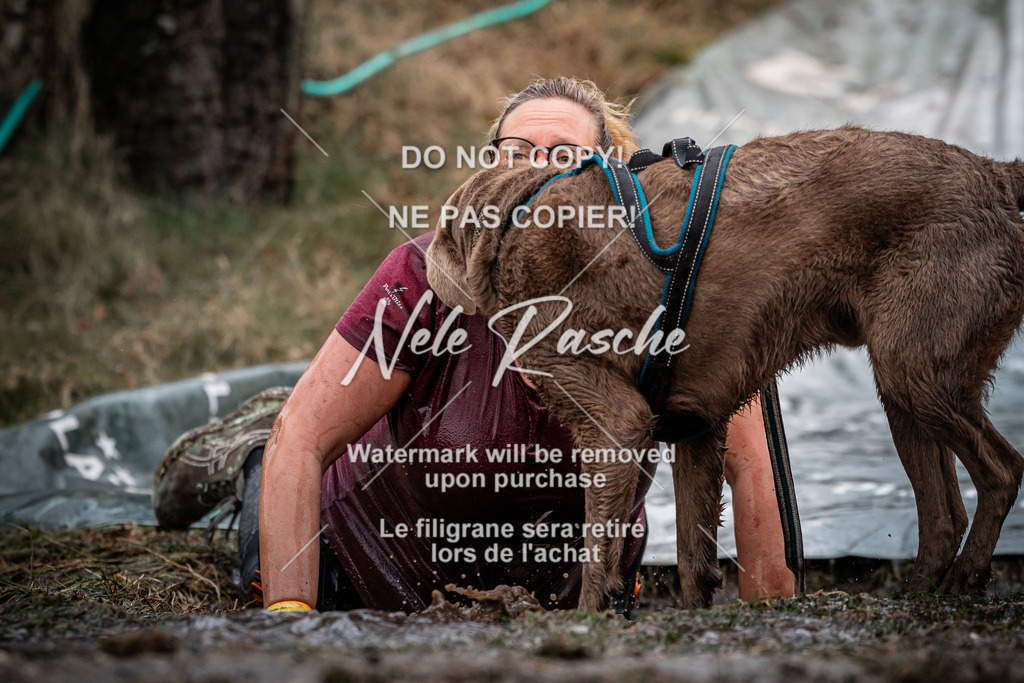 nelerasche_1230-1300_264 | nelerasche