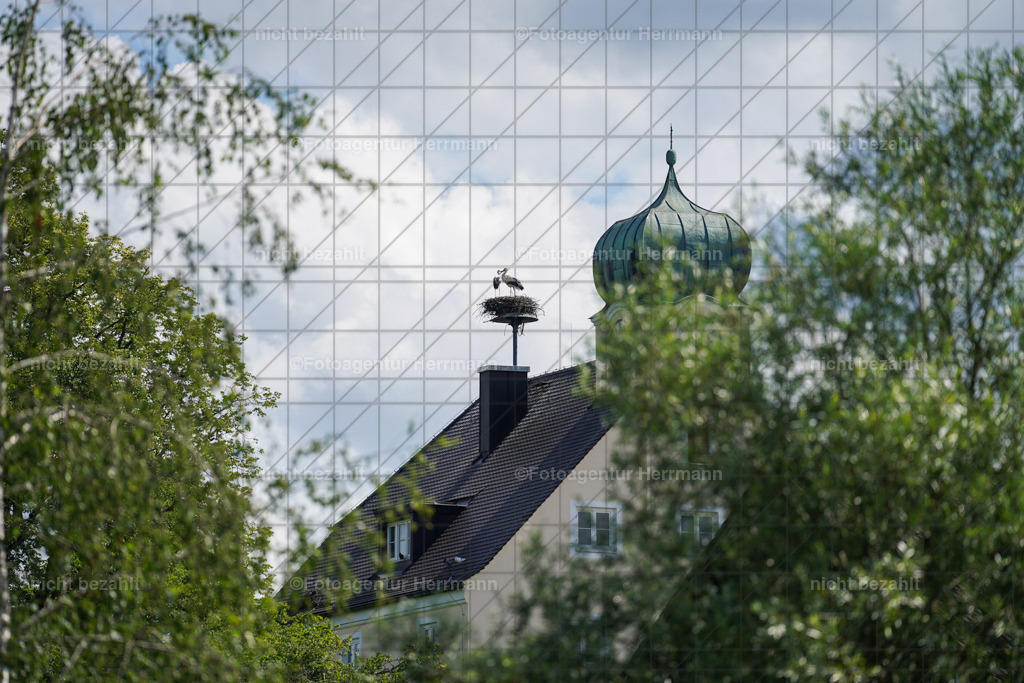 20240622-FAH07799 | Turnierfotografen Bayern, Reitsportbilder aus dem Geländekurs mit Felix Etzel auf dem Gut Waitzacker 2024