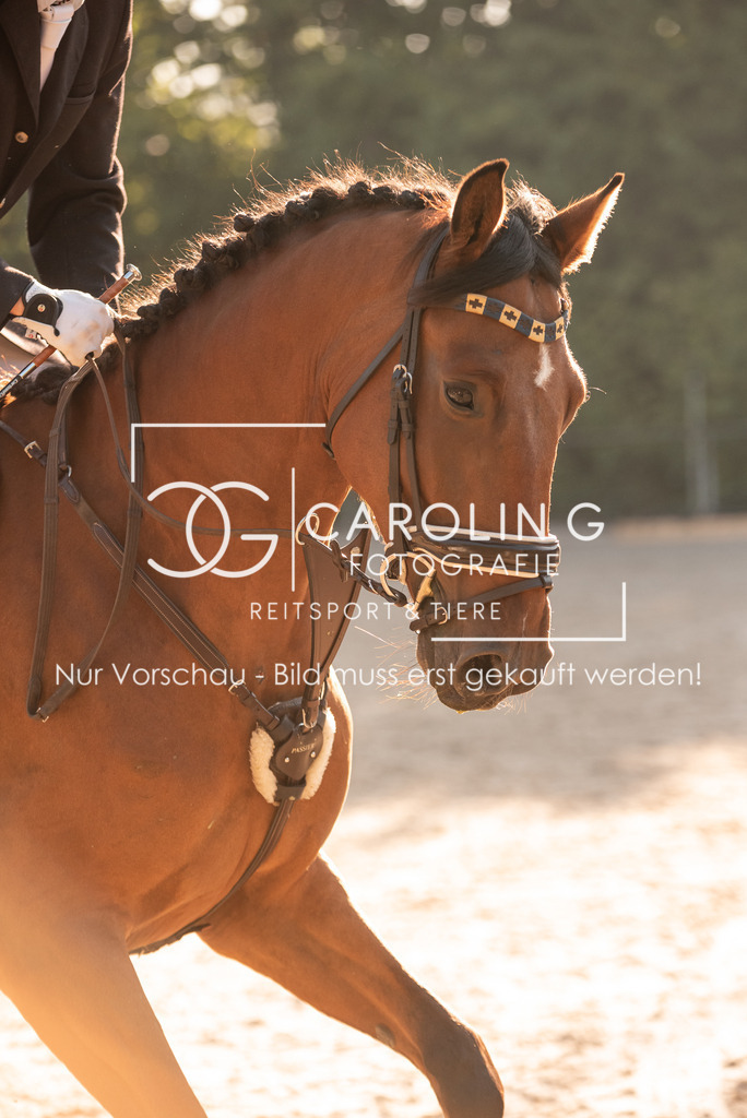 DSC_6383 | Turnierfotografin Carolin Gieschke, Turnierfotografie Carolin G Fotografie, Turnierfotos Kirchheim/Teck, Esslingen, Stuttgart, Bodenseekreis