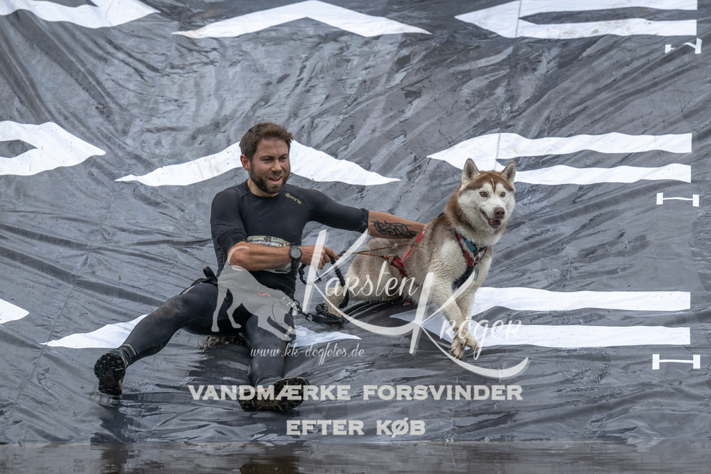 1505_ZZ91830 | kk-dogfotos