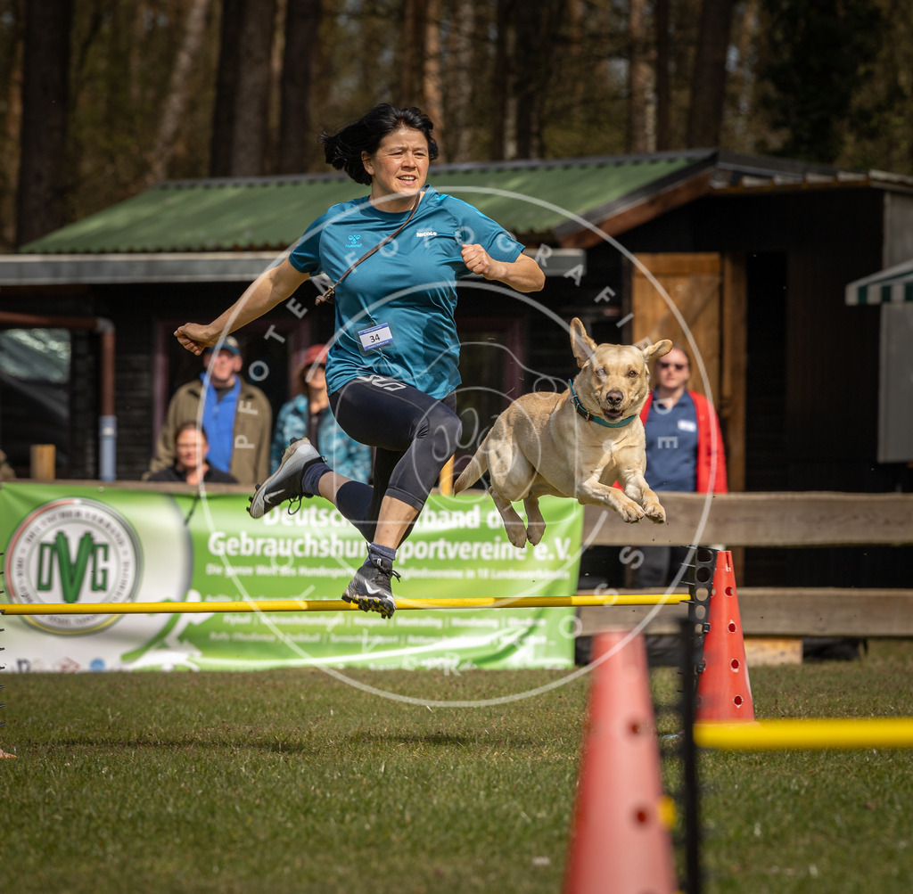Pfotenfotografie_DV3A6250 | Hundefotografie, Tierfotograf, Pfotenfotografie, Fotoshooting Hund, Hunde Portrait, Hundesport, Hundeportraits, Heideshooting, Hunde, Sportfotograf, Hundefotograf, Turnierhundsport, THS,  - Realisiert mit Pictrs.com