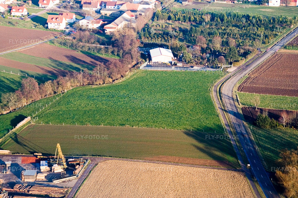 Luftbild: Schaidt, Schaidter Mühle im Ortsteil Schaidt in Wörth im Bundesland Rheinland-Pfalz in Deutschland. Foto: IMG_14828.jpg vom 30.11.2008 durch Werner Riehm/FLY-FOTO.de