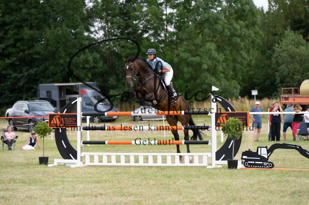 A7V02801 | Pferdefotograf