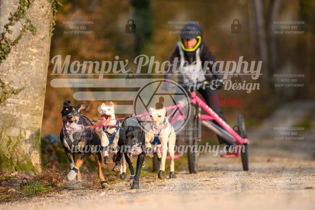 MompixPhotography_6ReiatRennen2026_SO_Kart-23 | PayLife