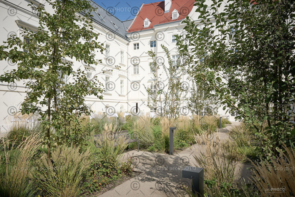 013_202409_ElisabethinenSpital_NZ9_3396 | proPHOTO - Realisiert mit Pictrs.com