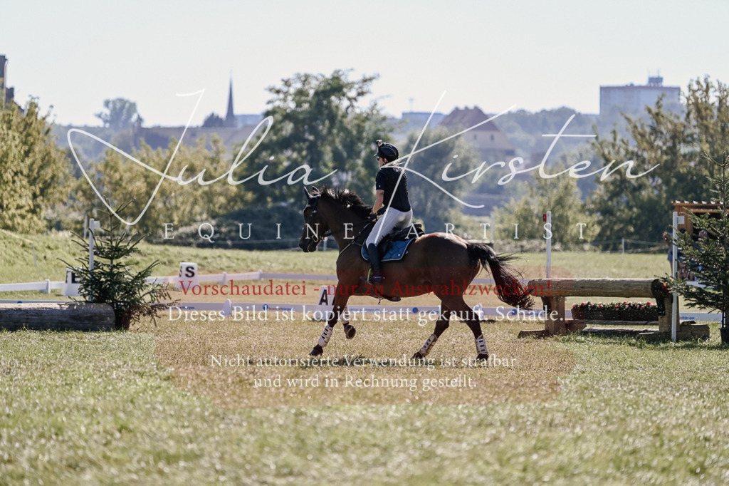 DSC_3393 | Pferde- und Turnierfotografie in Westsachsen. Pferdeportraits, Auftragszeichnungen und intuitive Kunst.
