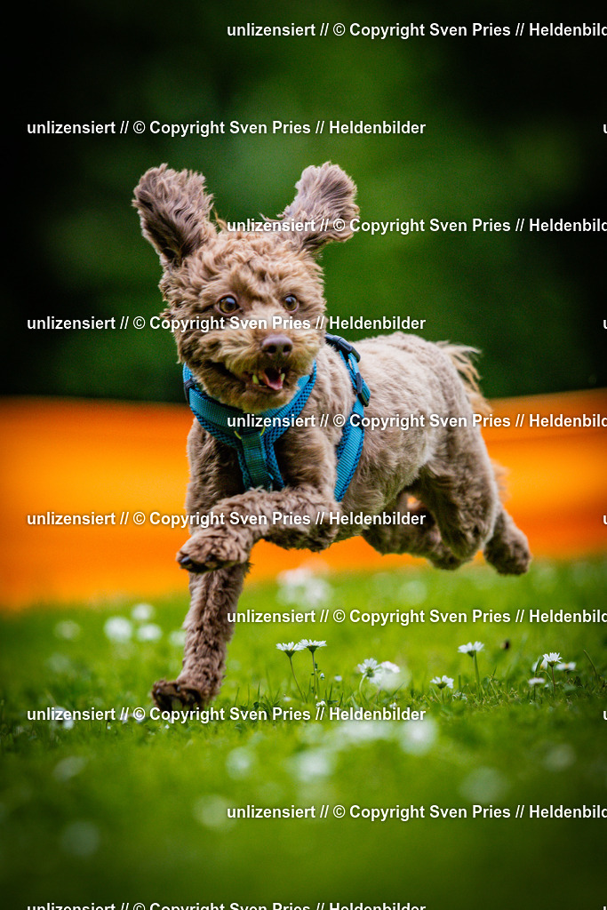 Sven Pries | 2025-05-29 - Pudelrennen KA-Durlach - Realisiert mit Pictrs.com