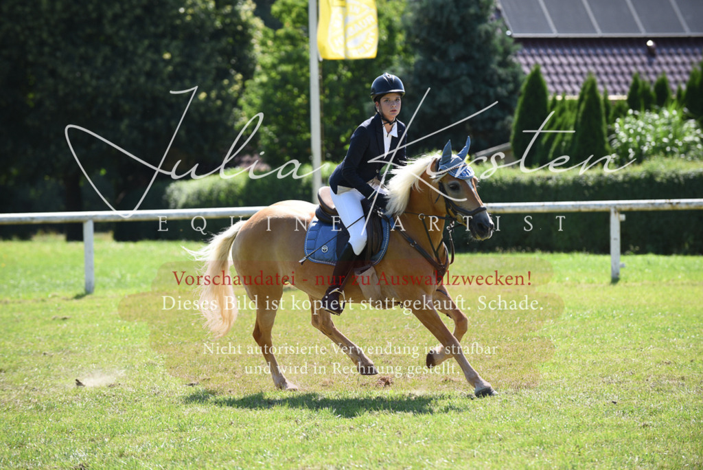 DSC_9631 | Pferde- und Turnierfotografie in Westsachsen. Pferdeportraits, Auftragszeichnungen und intuitive Kunst.