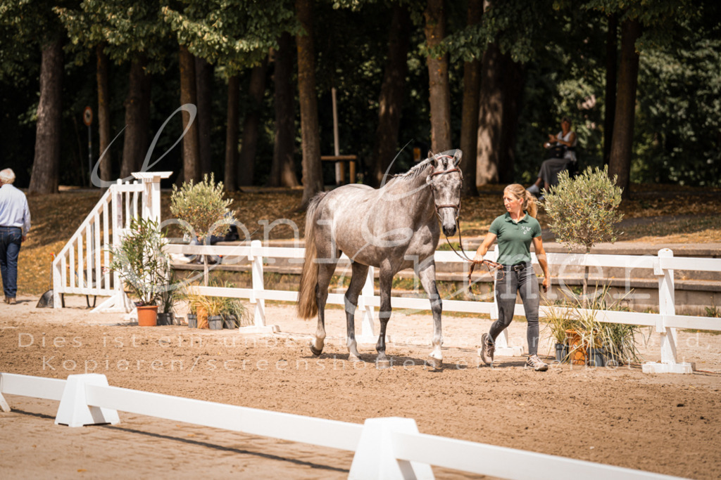 1.Fr00131 | Leoni Ertmer Photography - Realisiert mit Pictrs.com