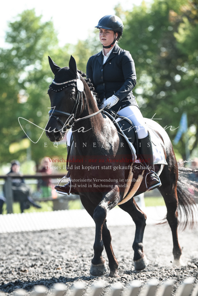DSC_8608 | Pferde- und Turnierfotografie in Westsachsen. Pferdeportraits, Auftragszeichnungen und intuitive Kunst.