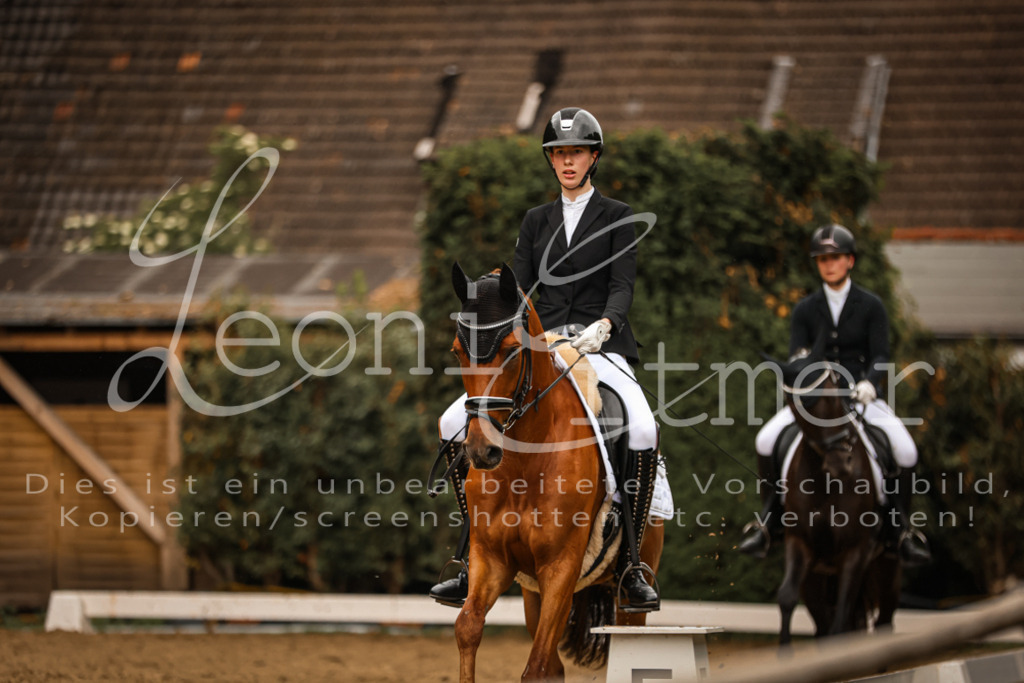 DoDrA200322 | Leoni Ertmer Photography - Realisiert mit Pictrs.com