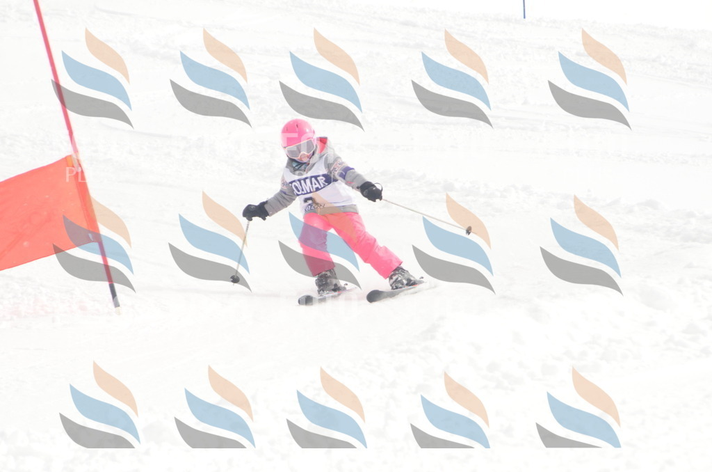 A5000 | holidayphoto