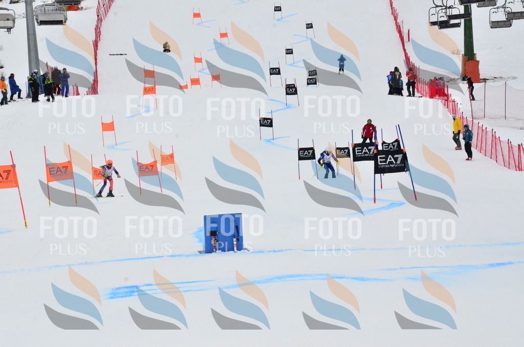 _ELE3605 | holidayphoto