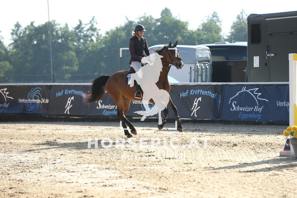 DL2Q0457 | Willkommen bei Brunnmayr - Design & Fotografie – Ihrem Spezialisten für Reitturniere und Pferdeveranstaltungen in Oberösterreich, Salzburg und Bayern! Seit über 17 Jahren sind wir leidenschaftlich dabei.