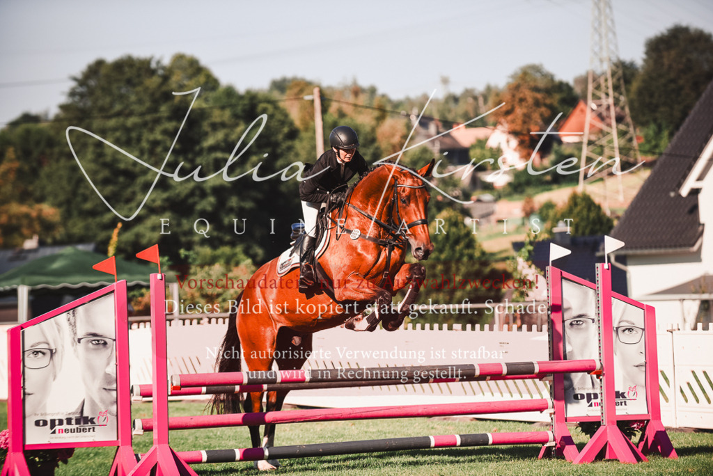 DSC_2239 | Pferde- und Turnierfotografie in Westsachsen. Pferdeportraits, Auftragszeichnungen und intuitive Kunst.