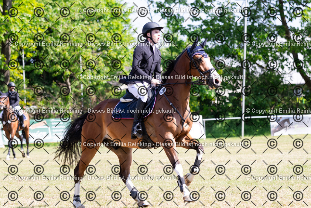 CL5A7371 | Emilia Reinking Fotografie - Realisiert mit Pictrs.com