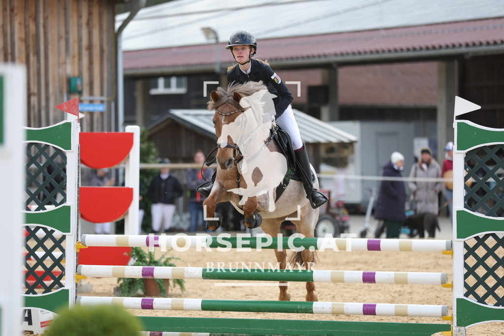 0P6A8558 | Willkommen bei Brunnmayr - Design & Fotografie – Ihrem Spezialisten für Reitturniere und Pferdeveranstaltungen in Oberösterreich, Salzburg und Bayern! Seit über 17 Jahren sind wir leidenschaftlich dabei.