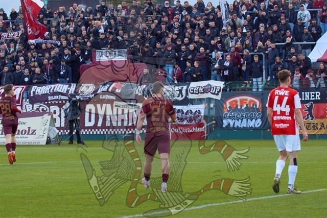 BFC Dynamo vs. FC Rot-Weiß Erfurt 027 | mythos-online-redaktion