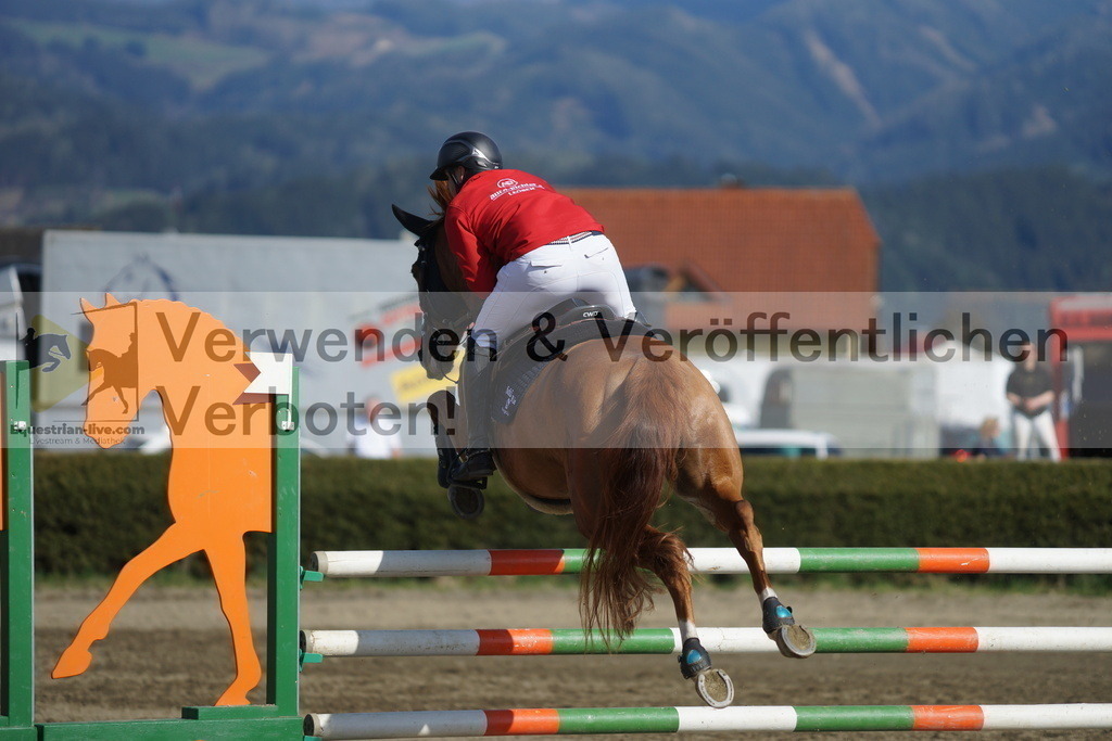 DSC03349 | equestrian-live-com