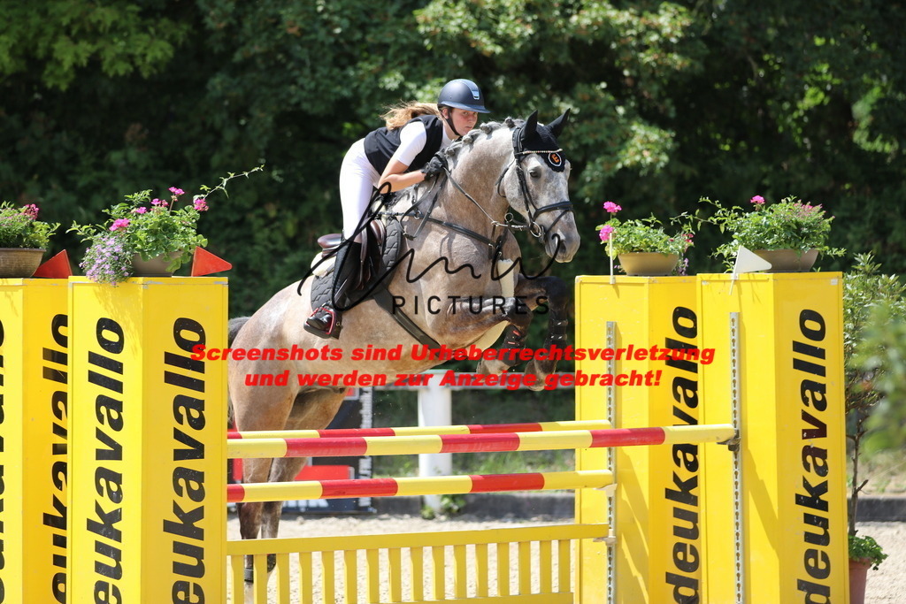 IMG_0060 | lmwpictures - Realisiert mit Pictrs.com