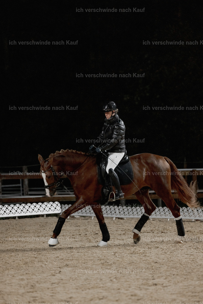FHClassics-21 | working equitationturnier fotograf videograf stoibphotography marixx film working equitation deutschland reitsport turnierfotografie eventfotografie equestrian events