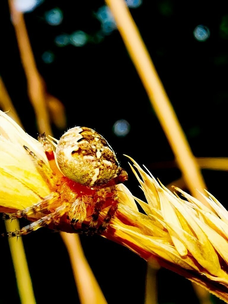 PSX_20220721_234131 | mtkfoto_ - Realisiert mit Pictrs.com