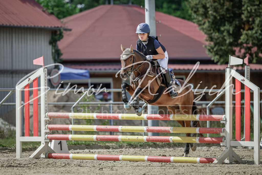 20250906-_3LI6489 | Tierfotografie Pferde, Hunde, Katzen, Haustiere.
Turnierfotografie Reitturniere, Reiten, Springreiten, Dressur in Hanau, dem Main-Kinzig-Kreis und dem Rhein-Main- Gebiet um Frankfurt