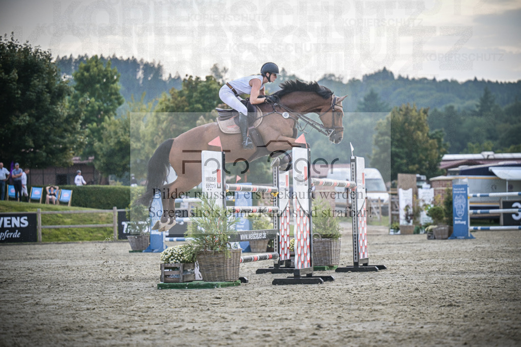 DOS_3395 | Entdecke hochwertige Reitturnierfotos von Foto Oger. Professionell, emotional und authentisch – jetzt Lieblingsmomente im Shop bestellen.Deutschlandweite Turnierfotografie. - Realisiert mit Pictrs.com