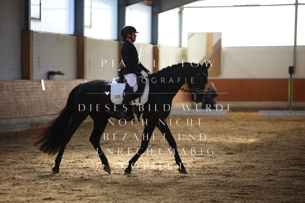 IMGT6175 | pl-fotografie