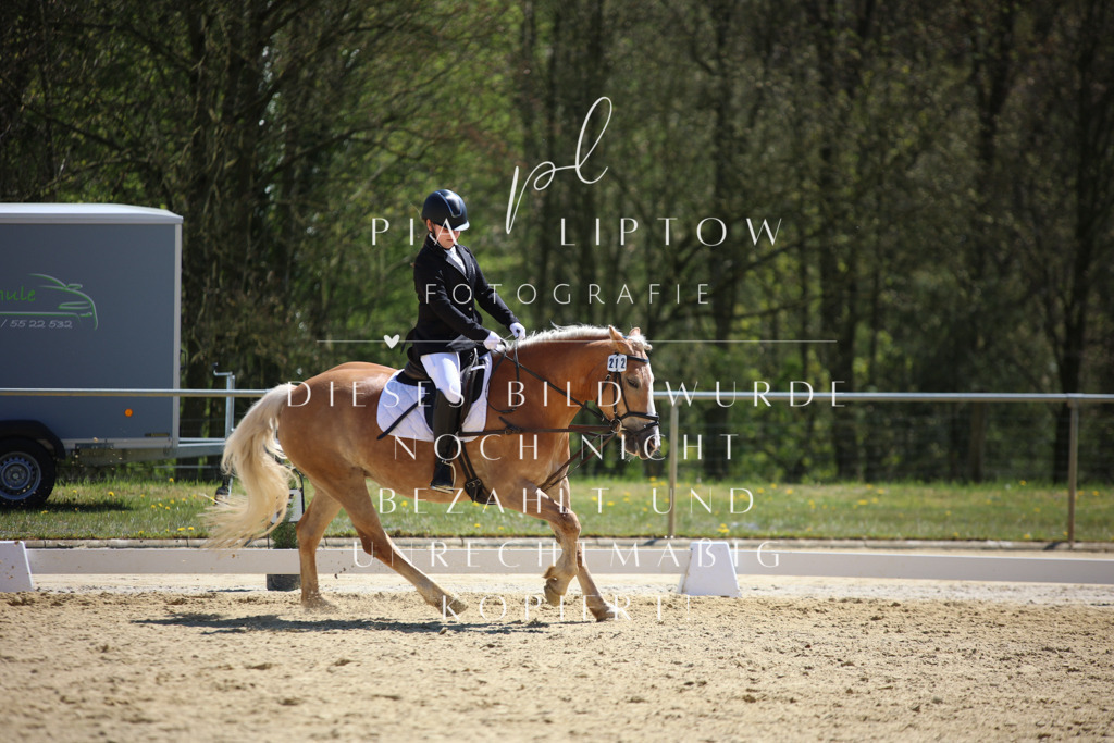 IMGT1242 | pl-fotografie