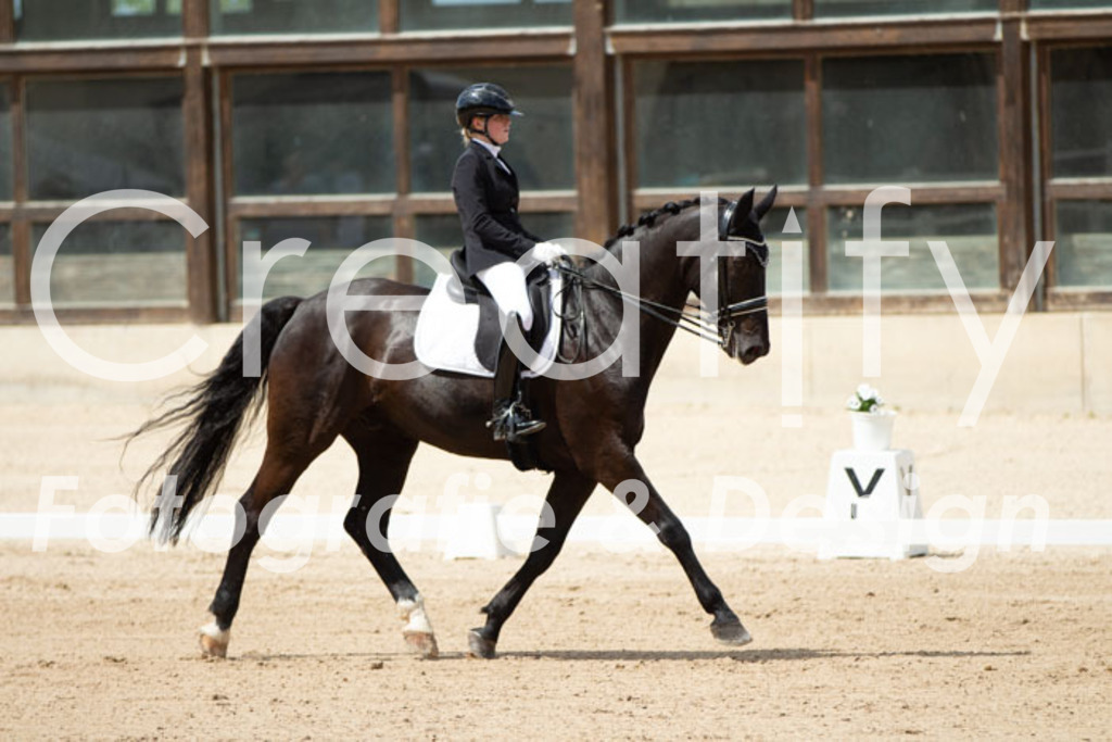 IMG_5917 | Creatify Fotografie