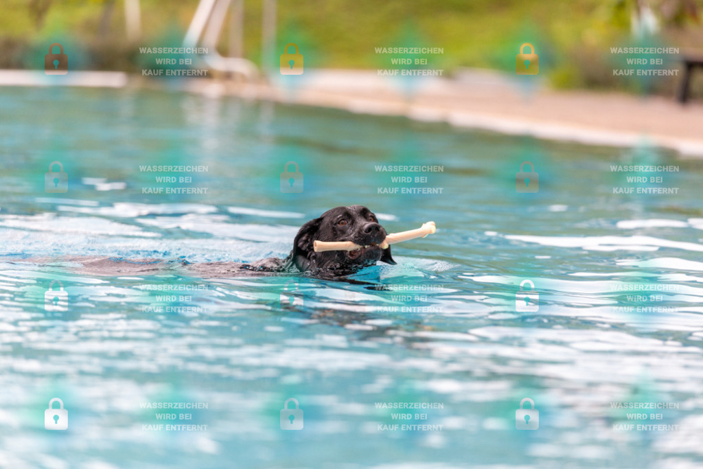 _HP_6058_1000o | HetPix, HetPix Fotodesign, Fotografie, Fotodesign, Webshop, Sportfotografie, Portraitfotografie, Onlineshop, Sportfotografie, Polch, Motorsportfotografie, Eventfotografie