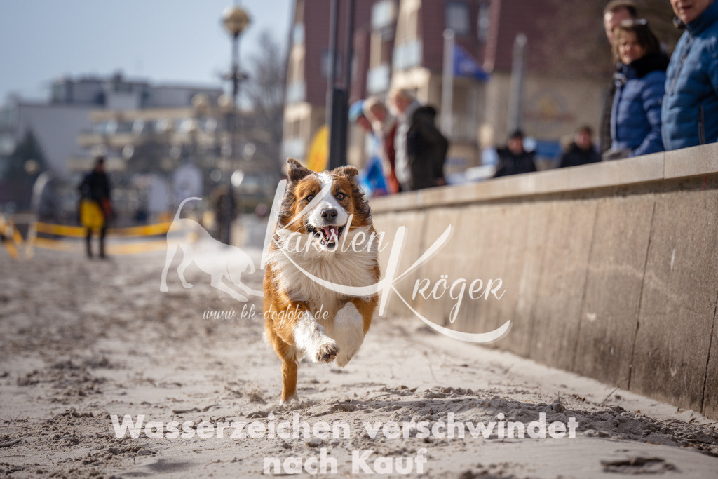 1324_ZZ99064 | kk-dogfotos