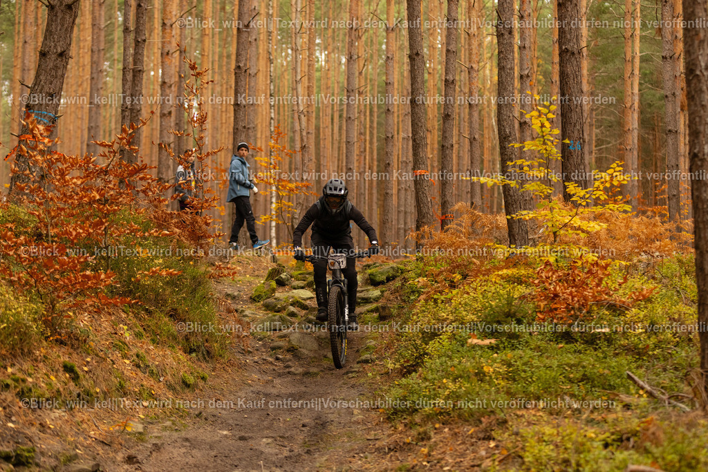 E68A2751 | blick_win_kel