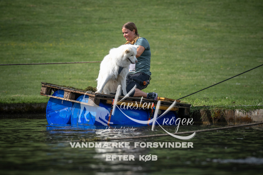 0837_ZZ99789 | kk-dogfotos