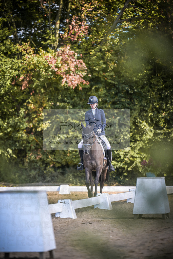 DOS_3053 | Entdecke hochwertige Reitturnierfotos von Foto Oger. Professionell, emotional und authentisch – jetzt Lieblingsmomente im Shop bestellen.Deutschlandweite Turnierfotografie. - Realisiert mit Pictrs.com