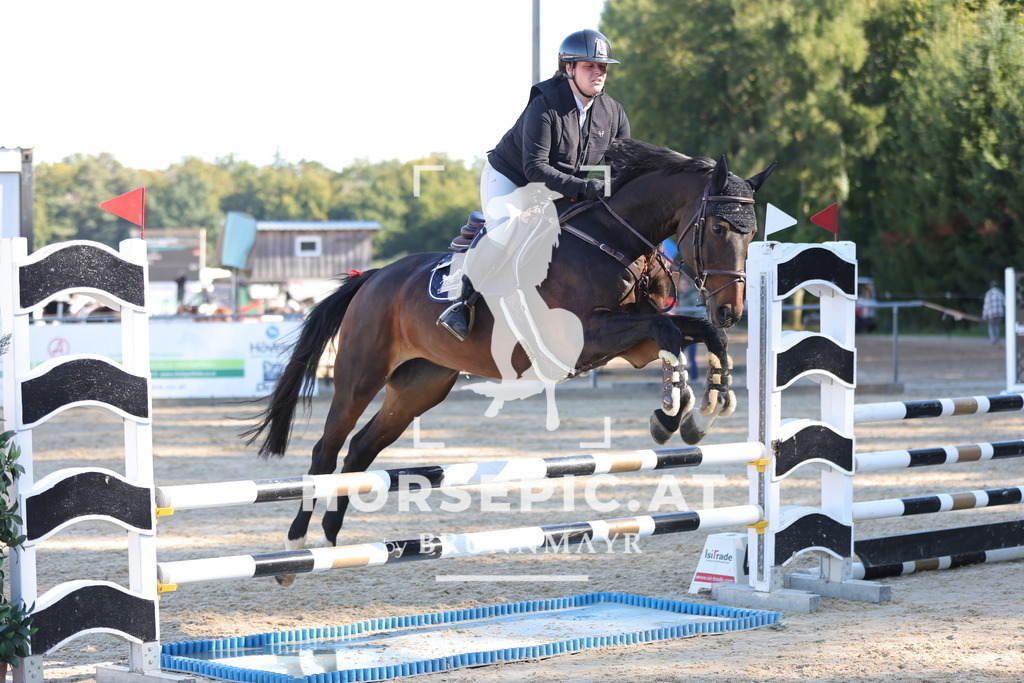 0P6A0826 | Willkommen bei Brunnmayr - Design & Fotografie – Ihrem Spezialisten für Reitturniere und Pferdeveranstaltungen in Oberösterreich, Salzburg und Bayern! Seit über 17 Jahren sind wir leidenschaftlich dabei.