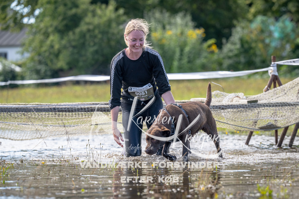 1214_ZZ93161 | kk-dogfotos