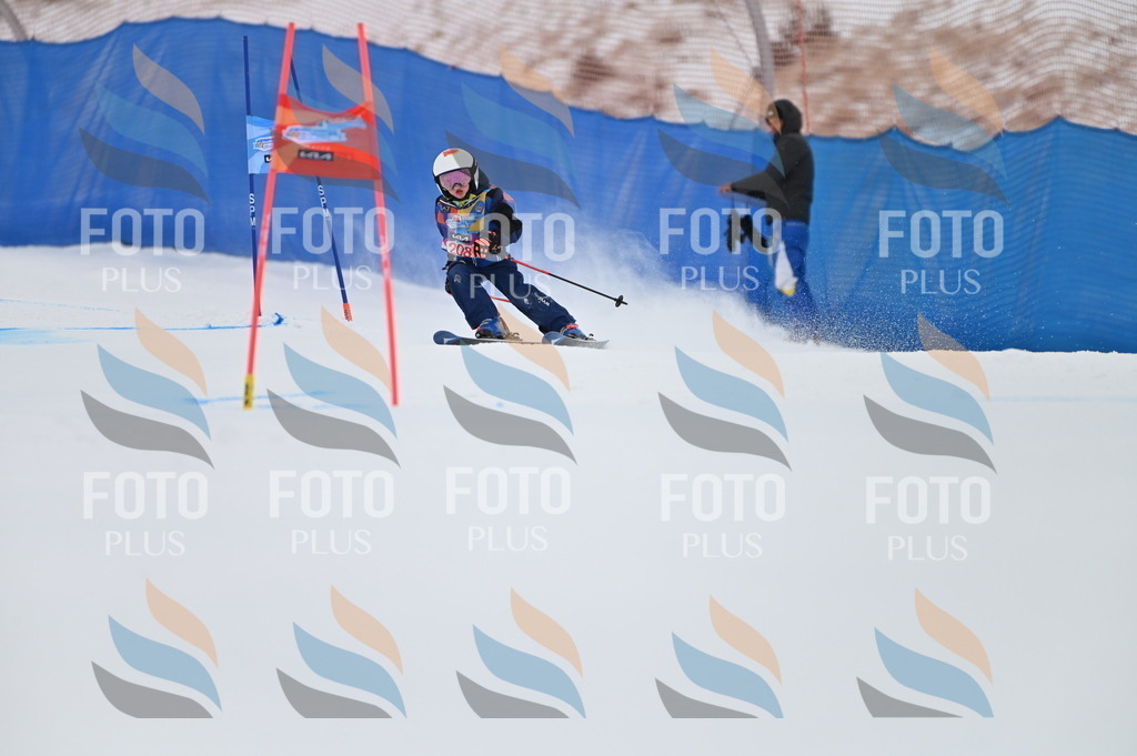 BGV_2247 | holidayphoto