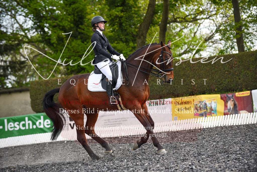 20230513_JK-Röhrsdorf-17-084 | Pferde- und Turnierfotografie in Westsachsen. Pferdeportraits, Auftragszeichnungen und intuitive Kunst.