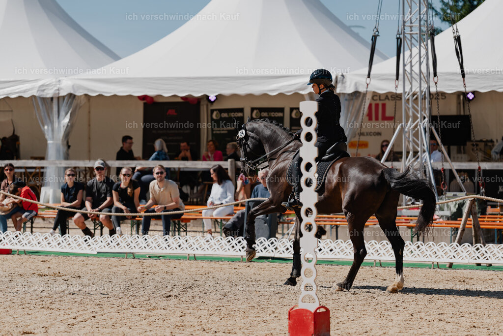 Leonie24_FHC2025-30 | working equitationturnier fotograf videograf stoibphotography marixx film working equitation deutschland reitsport turnierfotografie eventfotografie equestrian events