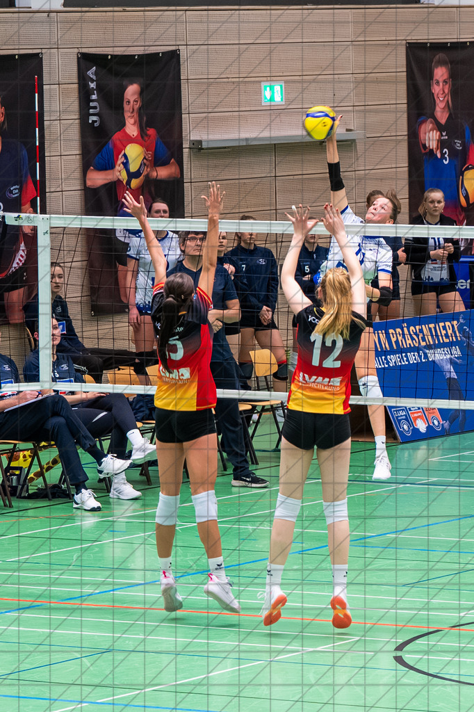 2. VBLF Nord 25/26 | Spiel 4154 | VC Osnabrück vs. VCO Münster | //  29.11.25: 2. VBLF Nord 25/26 | Spiel 4154 | VC Osnabrück vs. VCO Münster / Osnabrück / Deutschland  //   CREDIT:www.bullenfotos.de, Martin König, Hörner Weg 40, D-49078 Osnabrück, +4917663732967 // Nutzung und Weitergabe nur zu den vereinbarten Zwecken. Presseanfragen an Ersteller. Alle Rechte beim Ersteller. Honorierung nach MFM. - Realisiert mit Pictrs.com
