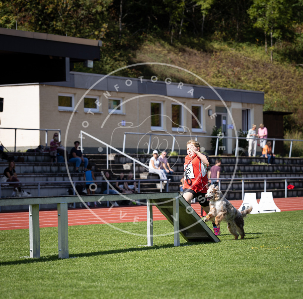 Pfotenfotografie_DV3A8552 | Hundefotografie, Tierfotograf, Pfotenfotografie, Fotoshooting Hund, Hunde Portrait, Hundesport, Hundeportraits, Heideshooting, Hunde, Sportfotograf, Hundefotograf, Turnierhundsport, THS,  - Realisiert mit Pictrs.com