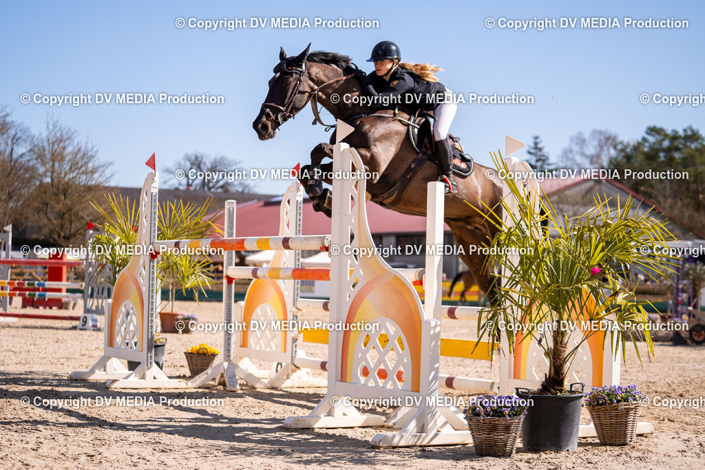 Kranichstein Tag 2-856 | dv-media-shop - Realisiert mit Pictrs.com