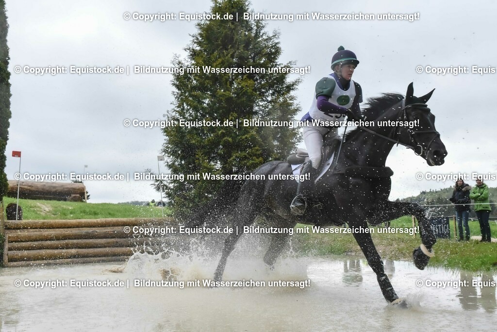 20230513_CCI2_Section2_Gelände_0528 | equistock