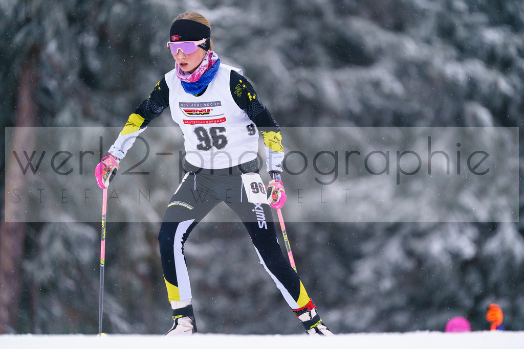 DP Oberwiesenthal | Sparkassen-Skiarena Oberwiesenthal am 10. - 12. Januar 2025