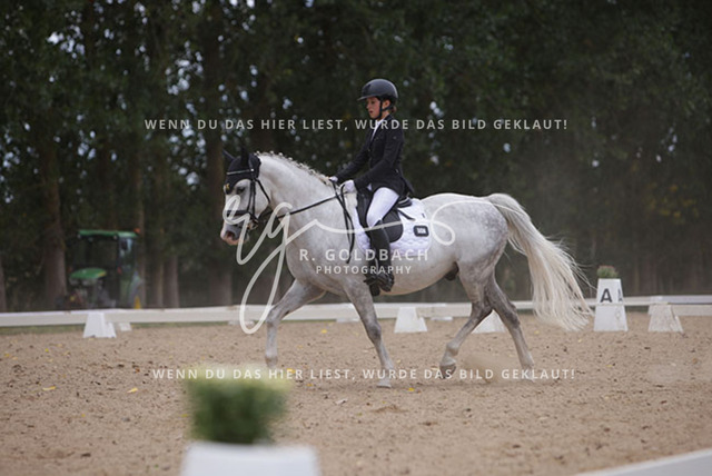 1J2A0835Charlotte Fehr_ Ikon 16_ Kn061_ Wöpkendorf_ Annalena Beier_ Quinn M_ Kn095 | Foto- und Videografie für alles rund ums Pferd. Hochwertige Bilder und Videos vom Spring- und Dressurreiten, Voltigieren & mehr. Jetzt aktuelle Veranstaltungen und Preise im Shop ansehen. - Realisiert mit Pictrs.com